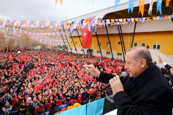 NATO scandal, Erdogan, support, Turkey