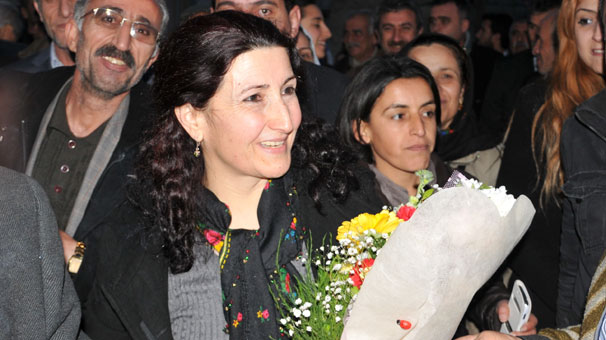Guler Yildirim, Constitutional Court, rejection, lawmaker