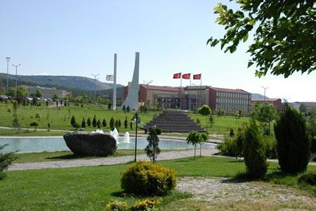 Turkey, academic, Osmangazi University, Volkan Bayer